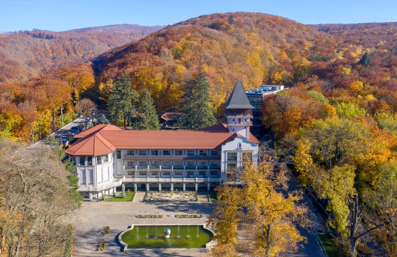 Kamenitsa Verkhovyna Resort Medical & Wellness מראה חיצוני תמונה